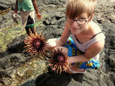 Urchins? They moved and tickled my hand as I held them.